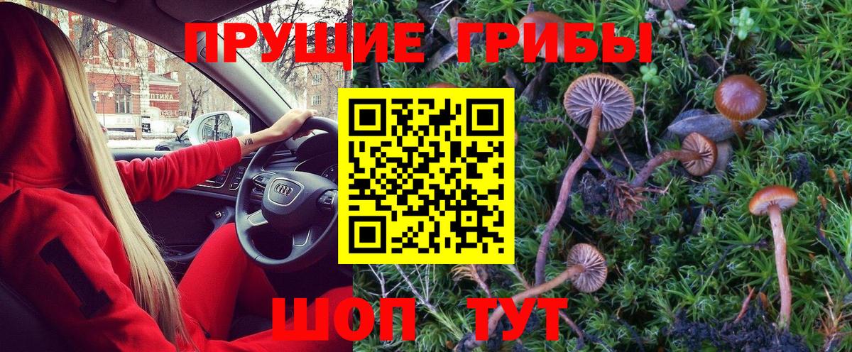 Псилоцибиновые грибы MAGIC MUSHROOMS  Псилоцибиновые грибы MAGIC MUSHROOMS  Каспийск  Вход с VPN 