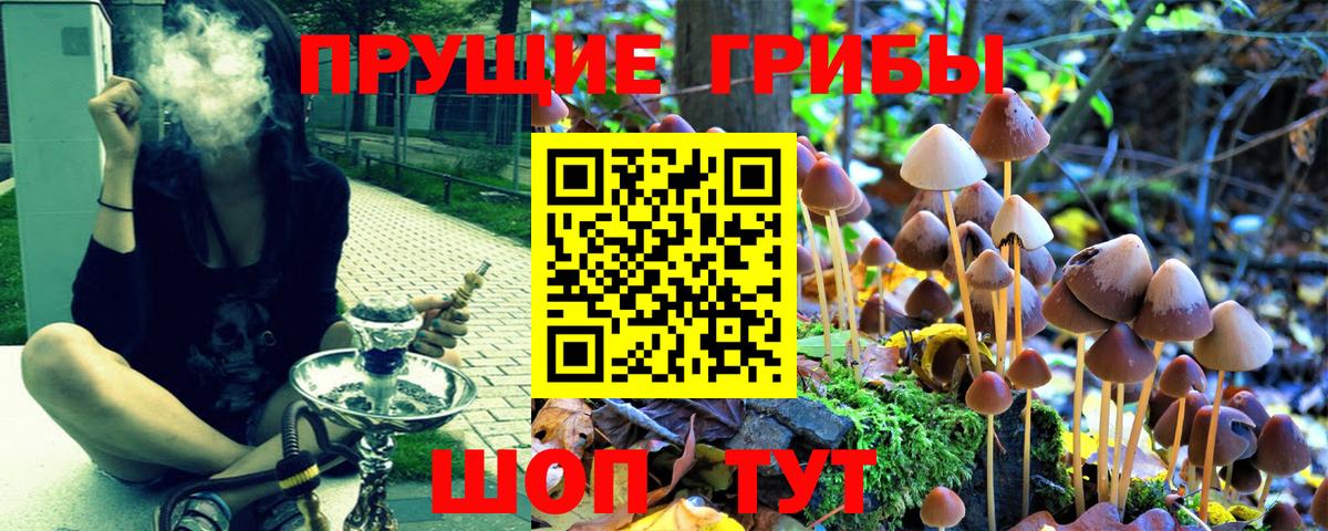 Галлюциногенные грибы MAGIC MUSHROOMS Каспийск